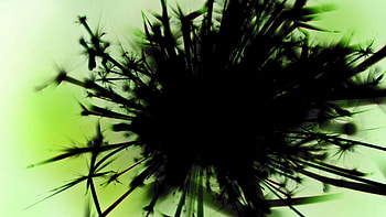 Abstract, Plant, Form HD wallpaper