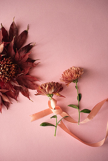 Flowers, Leaves, Tape, Decoration HD phone wallpaper
