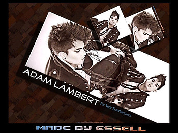 adam lambert my man, loll, lol, o HD wallpaper