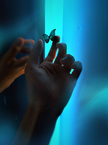 Hand, Miscellanea, Miscellaneous, Neon, Butterfly, Glow, Fingers HD phone wallpaper