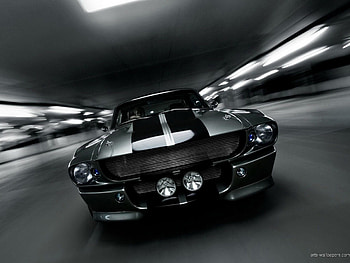 Mustang Logo - afari HD wallpaper