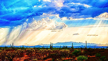 After drought, comes the sweet rain - Sonoran Desert, arizona, clouds, landscape, sky, cactuses, usa HD wallpaper