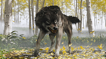 Ghost of Yōtei Angry Wolf – Video Game, video game, Ghost of Yōtei, angry, wolf HD wallpaper