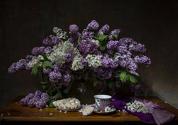 soft, still life, flowers, abstract HD wallpaper