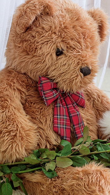 Teddy Wale, Big Teddy Bear HD phone wallpaper