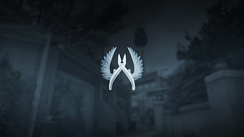 Huntsman CSGO Counter Karambit Hunting Knife Bayonet Strike CS GO . HD wallpaper