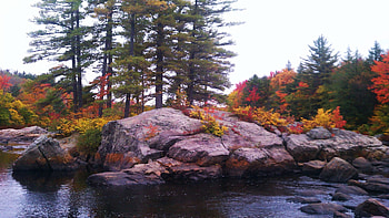 Moose river Thendara NY, forest, rocks, trees, landscape, water, usa HD wallpaper