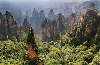 Earth forest cliff, Hunan, China, Zhangjiajie nature HD wallpaper