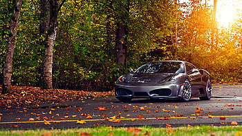 Ferrari F430 Autumn, ferrari, cars, autumn HD wallpaper