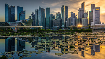 Cities, Architecture, City, Building, Reflection, Skyscrapers, Water Lily HD wallpaper