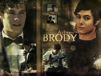 Adam Brody, the oc, thank you for smoking, in the land of women, gilmore girls, grind HD wallpaper