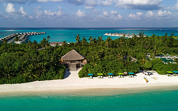 Six Senses Laamu, tropical island, Seychelles, luxury resort, palm trees, Indian Ocean, Republic of Seychelles HD wallpaper