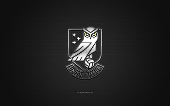 Union Omaha, American soccer club, white logo, gray carbon fiber background, USL League One, soccer, Omaha, USA, Union Omaha logo HD wallpaper