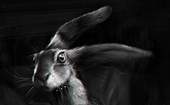 Rabbit, animal, hare, bunnt, igor kovalov, white, black, art, bw, fantasy, luminos, rodent HD wallpaper