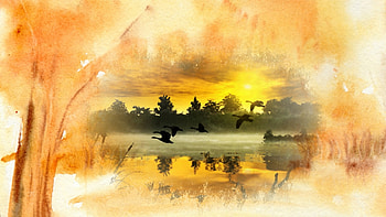 Autumn Collage, ducks, fall, trees, flight, autumn, lake, collage HD wallpaper