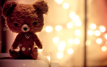 Toys, Objects, Bears HD wallpaper