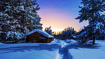 Winter Forest Scenery, trees, sky, cabin, snow, landscape HD wallpaper