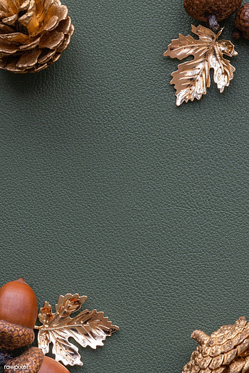 Pinecones, Acorns HD phone wallpaper