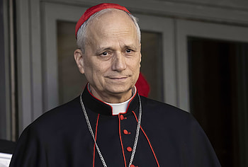 of Pope Robert Prevost in Formal Attire, pope HD wallpaper