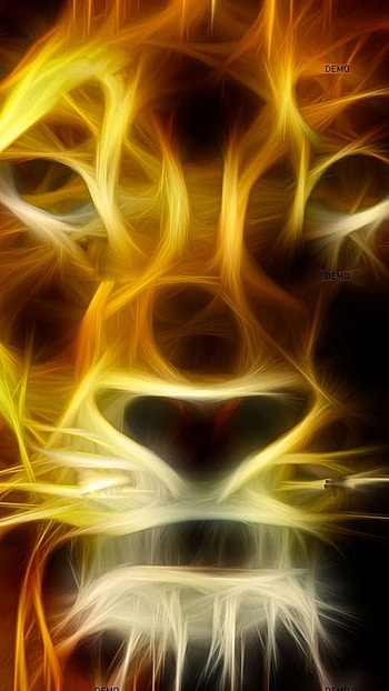 Fire Lion, Golden, Lion HD phone wallpaper
