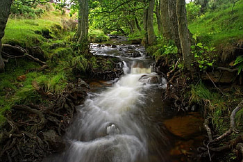 Pouring Down, falls, trees, water, rock HD wallpaper