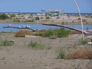 Delta del Po - Italy, delta, italy, nature, water, ocean HD wallpaper