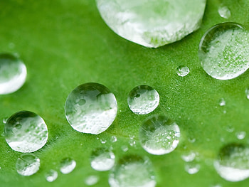 Water, Background HD wallpaper