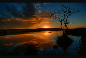 The persistence of time, river, persistence, dusk, nice, reflection, water, sunset, amazilg, beautiful, dark, tree, lake, time, mirrored, clouds, sky, lovely HD wallpaper