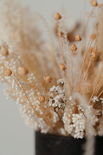 A close-up of a beautifully arranged dried flower bouquet with beige and white tones. HD phone wallpaper