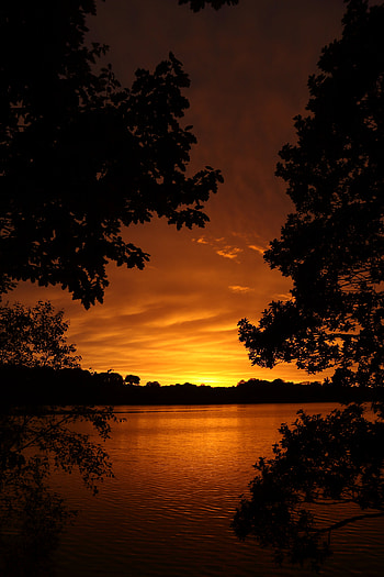 Nature, Trees, Sunset, Horizon, Lake, Evening HD phone wallpaper