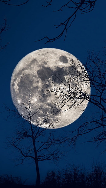 Trending Moon, Dark Theme, moon light HD phone wallpaper