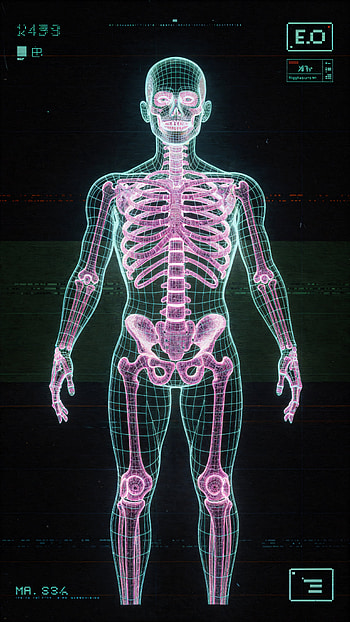 Skeleton HD phone wallpaper