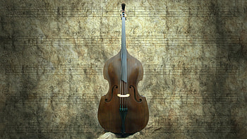 Double Bass , Low-end resonance, Stringed melodies, Musical artistry HD wallpaper