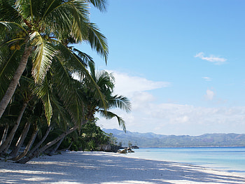 Philippine Islands, palms, island, philippine, water, ocean, beach HD wallpaper
