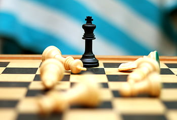 Close-up of a black king chess piece standing on a board surrounded by fallen white pieces. HD wallpaper