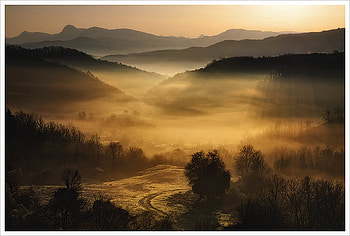 Sunset, landscupe, nature, tree HD wallpaper