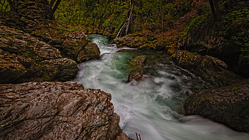 Water, Stream, Stones, River, Foam, Long Exposure, Rocks, Forest, Trees, Leaves, Scenery, Background Nature HD wallpaper