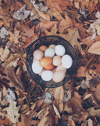 Food, Autumn, Eggs, Foliage, Basket HD phone wallpaper