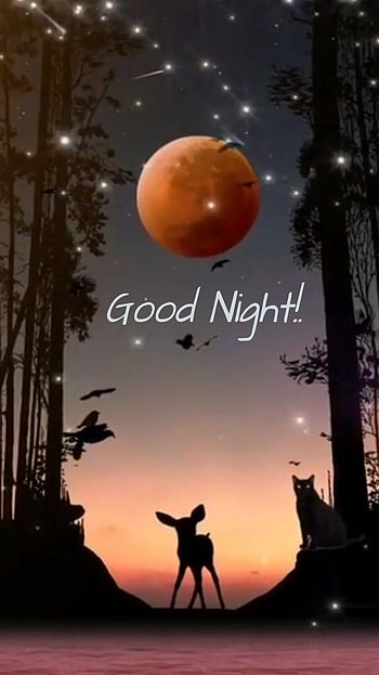 Good Night, Beautiful Nature, Background HD phone wallpaper