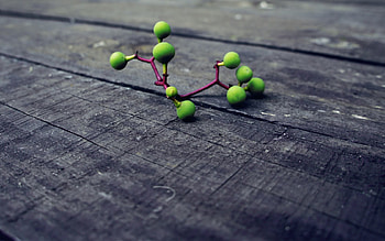 Plant, Macro, Surface HD wallpaper