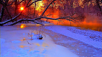 Preview winter, sunset, evening, branches, tree, pond, cold HD wallpaper