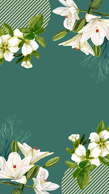 Jasmine Flower, green, petal HD phone wallpaper