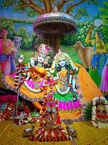 Priyakant Ju, Vrindavan HD phone wallpaper
