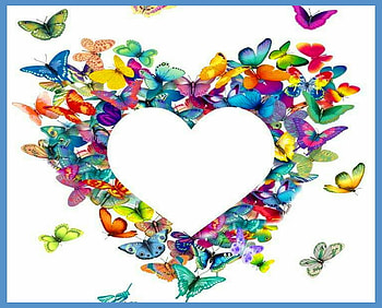 I love butterflies, butterflies, wings, heart, color HD wallpaper