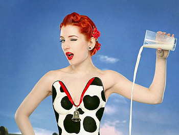 Cheeky_Cow, cow, cool, cheeky HD wallpaper