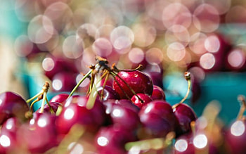 Cherries, blue, pink, cherry, red, fruit, spring HD wallpaper