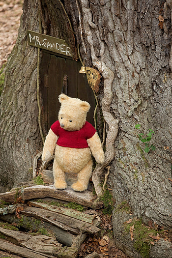 Winnie the Pooh in Disney's live-action adventure Christopher Robin, Confusions and connections, Endearing friendship, Heartwarming tale HD phone wallpaper