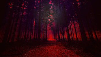 Blood Forest, forest, artist, artwork, digital-art HD wallpaper