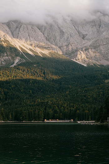 Nature, Trees, Mountains, Rocks, Forest, Fog HD phone wallpaper