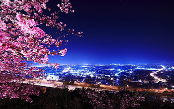 Landscape, Cities, Night HD wallpaper